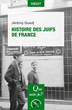 Télécharger le livre :  Histoire des Juifs de France