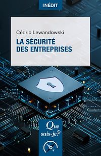 Télécharger le livre : La Sécurité des entreprises