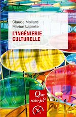 Télécharger le livre :  L'ingénierie culturelle