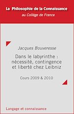 Télécharger le livre :  Dans le labyrinthe : nécessité, contingence et liberté chez Leibniz