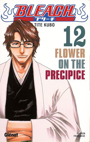 Téléchargez le livre :  Bleach - Tome 12