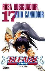 Télécharger le livre :  Bleach - Tome 17