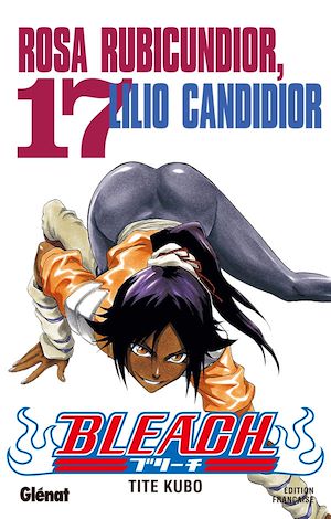 Téléchargez le livre :  Bleach - Tome 17
