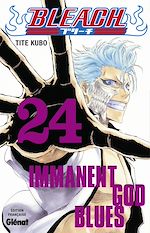 Télécharger le livre :  Bleach - Tome 24