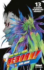 Télécharger le livre :  Reborn - Tome 13