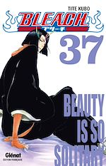 Télécharger le livre :  Bleach - Tome 37