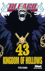 Télécharger le livre :  Bleach - Tome 43