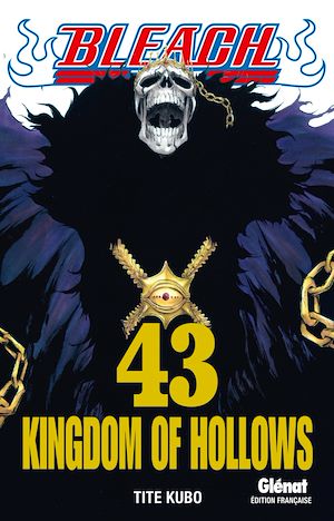 Téléchargez le livre :  Bleach - Tome 43