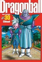 Télécharger le livre :  Dragon Ball perfect edition - Tome 30
