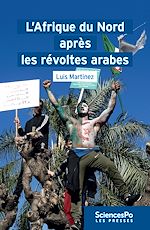 Télécharger le livre :  L'Afrique du Nord après les révoltes arabes
