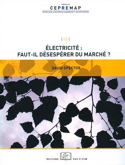 Télécharger le livre :  Électricité : faut-il désespérer du marché ?
