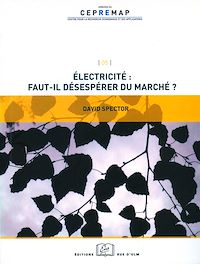 Télécharger le livre :  Électricité : faut-il désespérer du marché ?