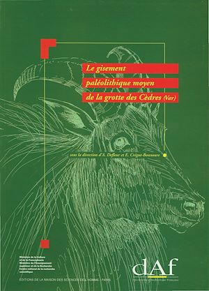 Download the eBook: Le gisement paléolithique moyen de la grotte des Cèdres (Var)