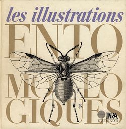Télécharger le livre :  Les illustrations entomologiques