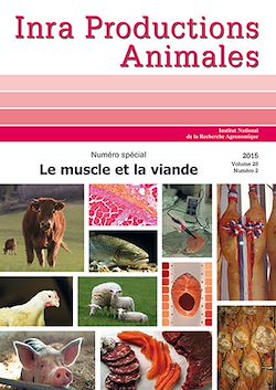 Télécharger le livre :  Le muscle et  la viande