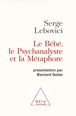Télécharger le livre :  Le Bébé, le Psychanalyste et la Métaphore