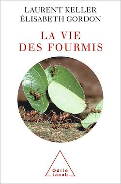 Télécharger le livre :  La Vie des fourmis