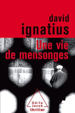 Télécharger le livre :  Une vie de mensonges