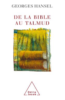 Télécharger le livre :  De la Bible au Talmud