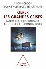 Télécharger le livre :  Gérer les grandes crises