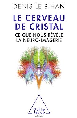 Télécharger le livre :  Le Cerveau de cristal