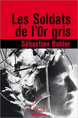 Télécharger le livre :  Les Soldats de l'or gris
