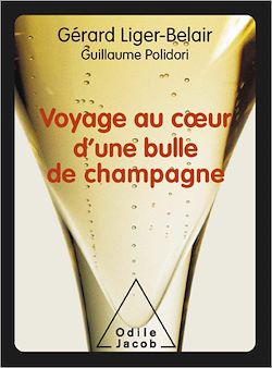 Télécharger le livre :  Voyage au cœur d'une bulle de champagne