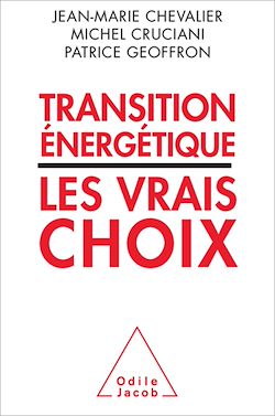 Télécharger le livre :  Transition énergétique : les vrais choix