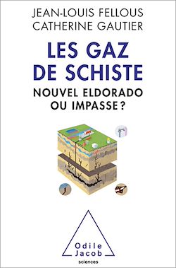 Télécharger le livre :  Les Gaz de schiste