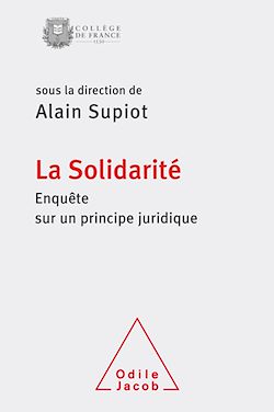 Télécharger le livre :  La Solidarité