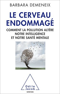 Télécharger le livre :  Le Cerveau endommagé