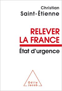 Télécharger le livre :  Relever la France