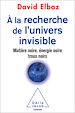 Télécharger le livre :  À la recherche de l'univers invisible