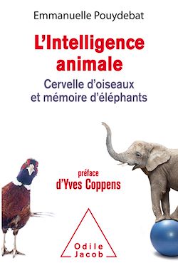 Télécharger le livre :  L' Intelligence animale