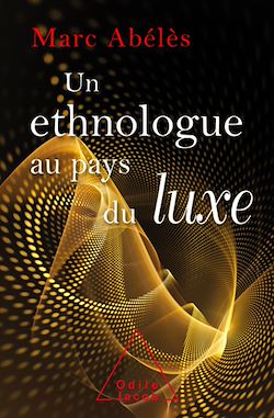 Télécharger le livre :  Un ethnologue au pays du luxe