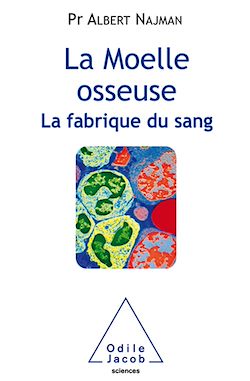 Télécharger le livre :  La Moelle osseuse