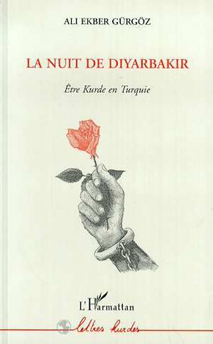 Téléchargez le livre :  La nuit de Diyarbakir