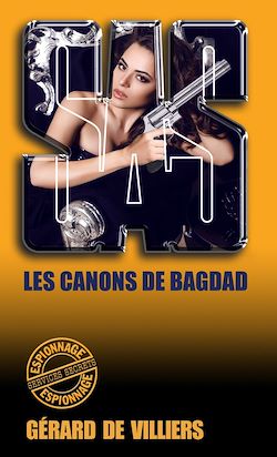 Télécharger le livre :  SAS 100 Les canons de Bagdad
