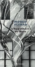 Télécharger le livre :  L'hypothèse de Dieu