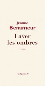 Télécharger le livre :  Laver les ombres