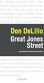 Télécharger le livre :  Great Jones Street
