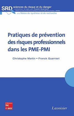 Télécharger le livre :  Pratiques de prévention des risques professionnels dans les PME-PMI