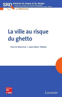 Télécharger le livre :  La ville au risque du ghetto
