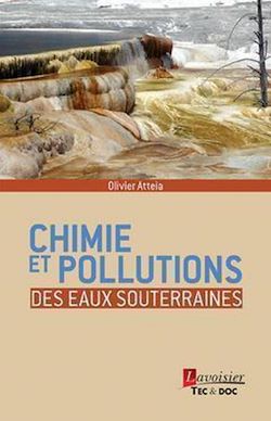 Télécharger le livre :  Chimie et pollutions des eaux souterraines