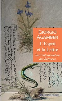 Téléchargez le livre :  L'esprit et la lettre