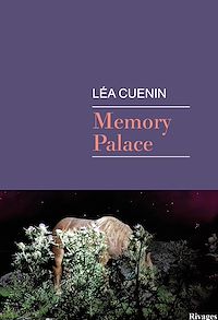 Téléchargez le livre :  Memory Palace