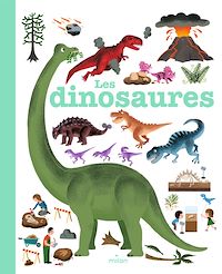 Téléchargez le livre :  Les dinosaures