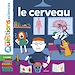 Télécharger le livre :  Le cerveau