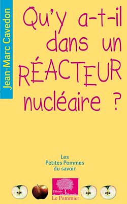 Télécharger le livre :  Qu'y a-t-il dans un réacteur nucléaire ?