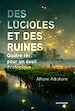 Télécharger le livre :  Des lucioles et des ruines